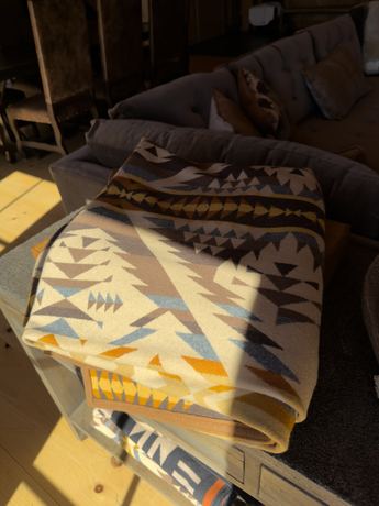 Pendleton Common Brown Blanket